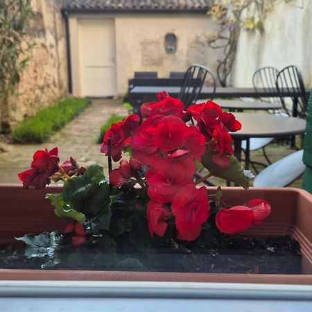 19 Borgo Cavour Bed & Breakfast Treviso Eksteriør bilde