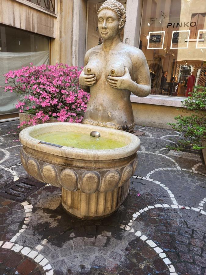 19 Borgo Cavour Bed & Breakfast Treviso Eksteriør bilde
