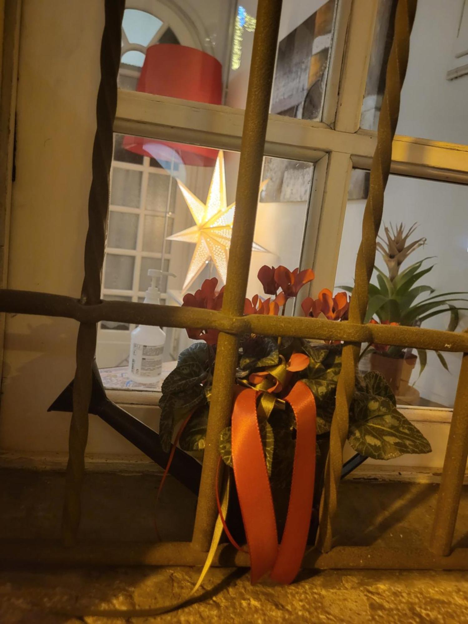 19 Borgo Cavour Bed & Breakfast Treviso Eksteriør bilde