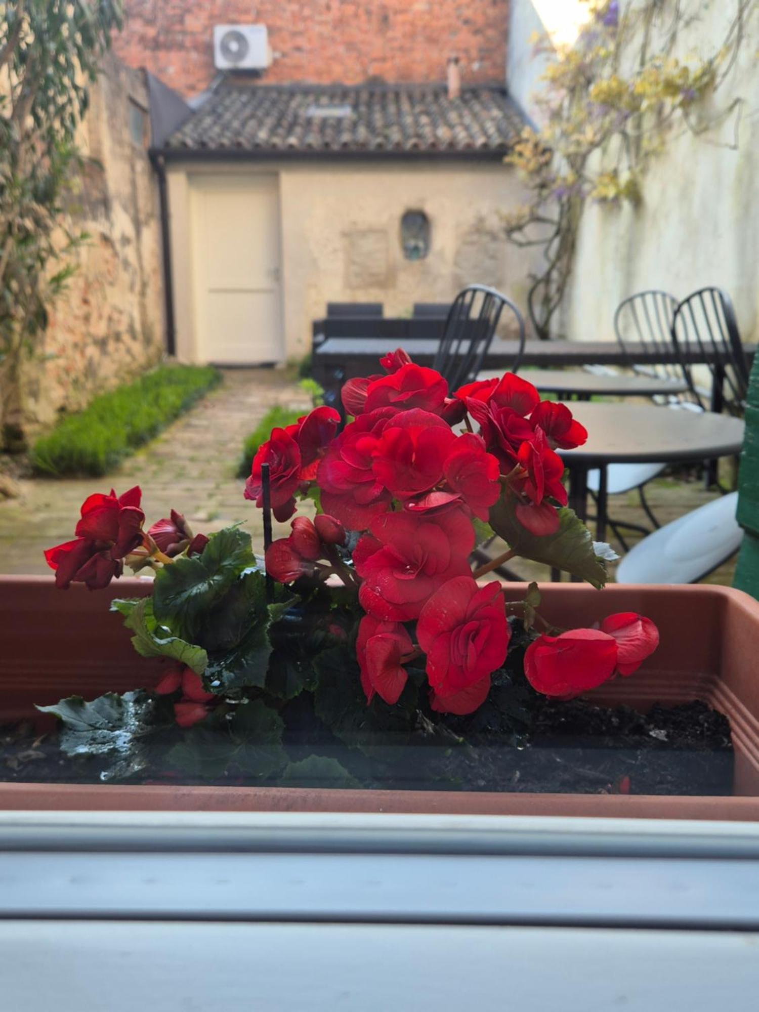 19 Borgo Cavour Bed & Breakfast Treviso Eksteriør bilde